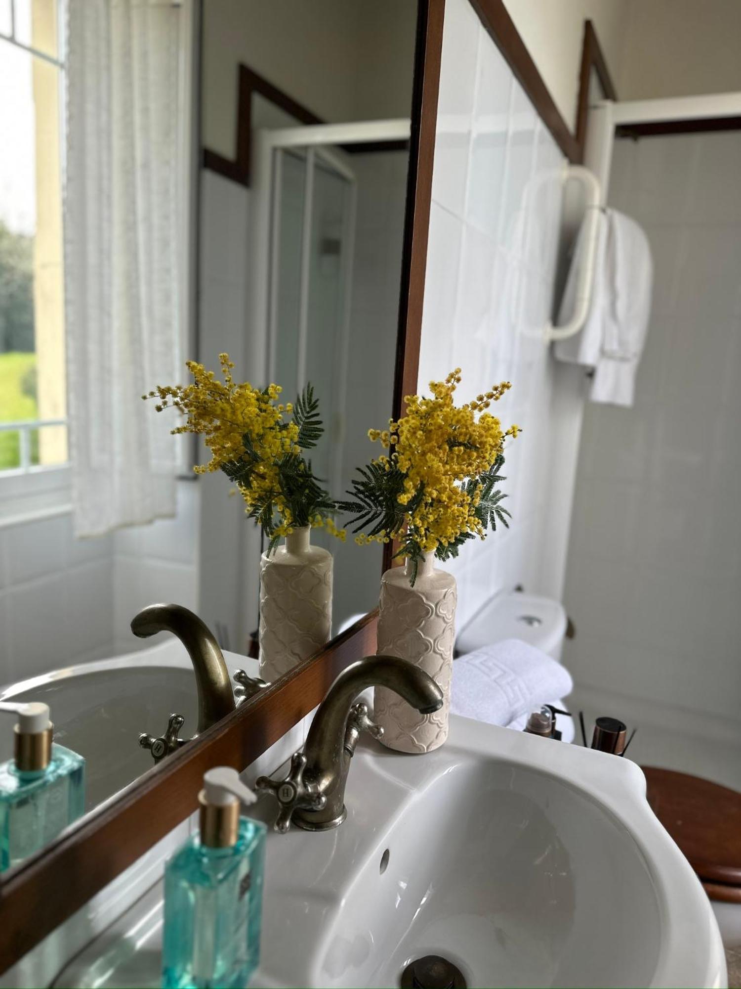 Villa Auristela Navia Eksteriør billede