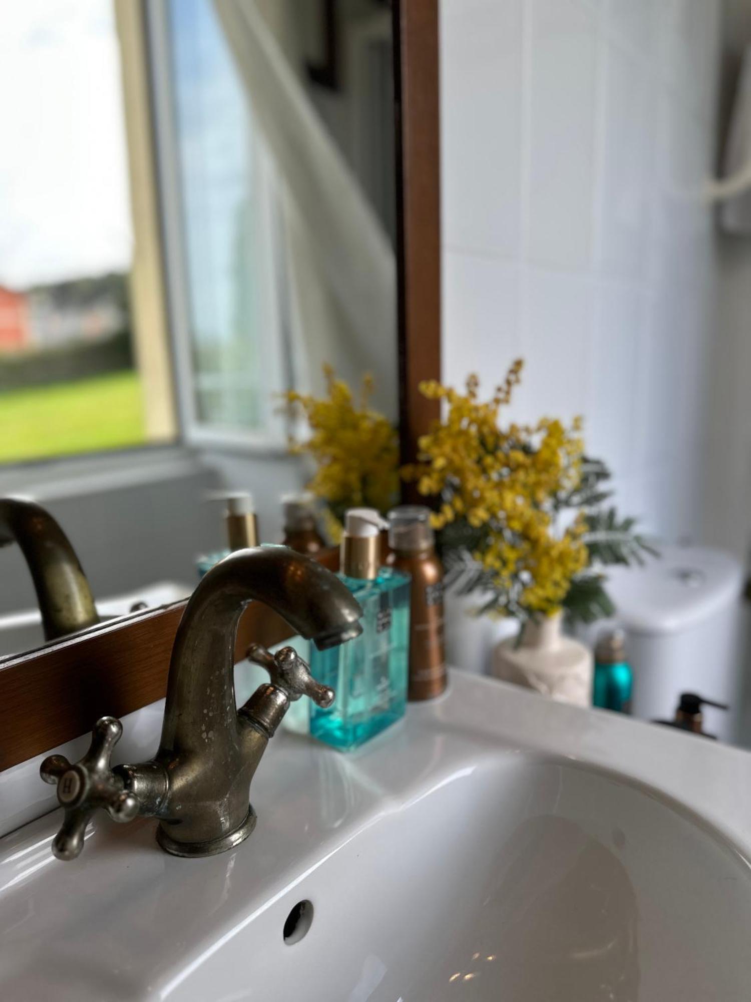 Villa Auristela Navia Eksteriør billede